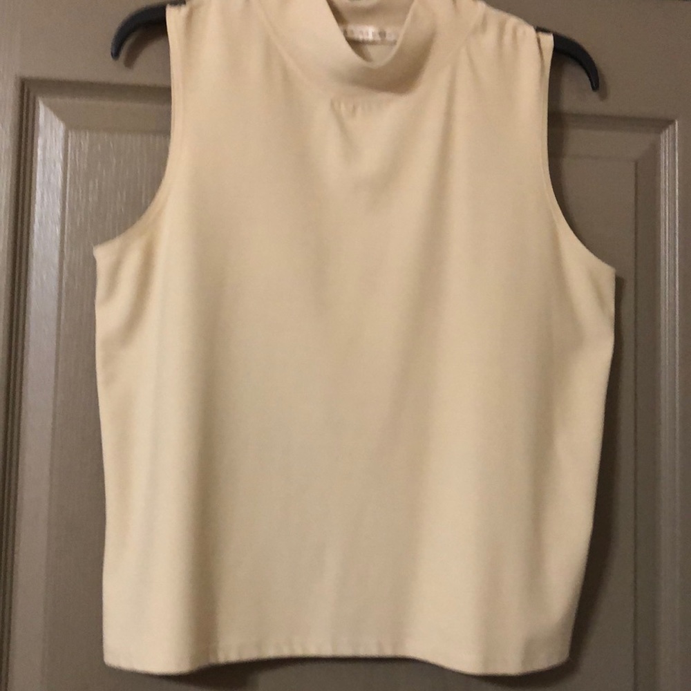 Max Studio sleeveless tan top. High neckline.